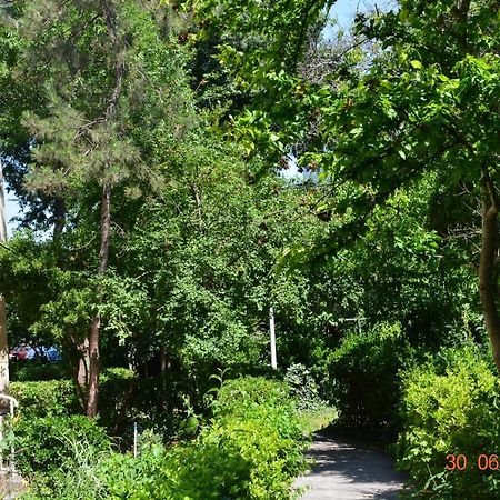 Apartament Antonia Sat Vacanta Constanta Ngoại thất bức ảnh